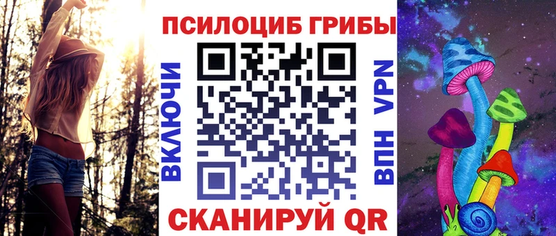 Псилоцибиновые грибы прущие грибы мега Нерчинск